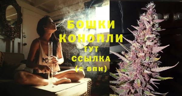 не бодяженный Горно-Алтайск