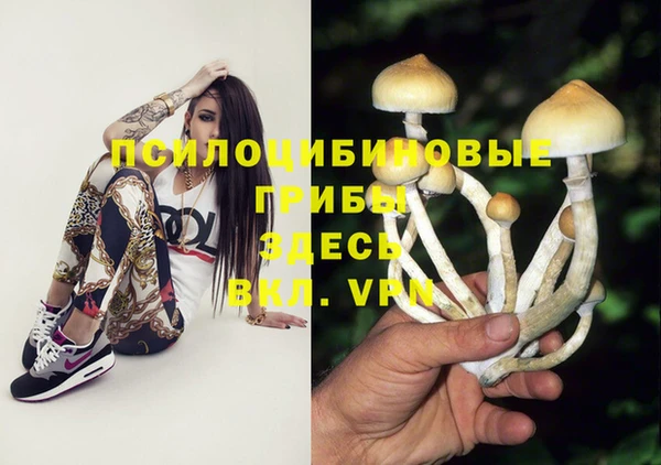 мяу мяу мука Баксан