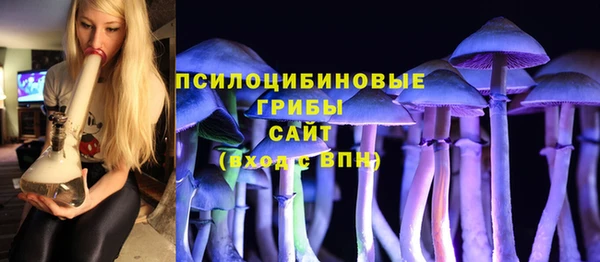 мяу мяу мука Баксан