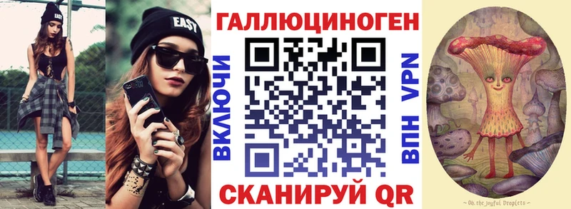 где купить наркотик  МЕГА вход  Псилоцибиновые грибы Magic Shrooms  Ногинск 