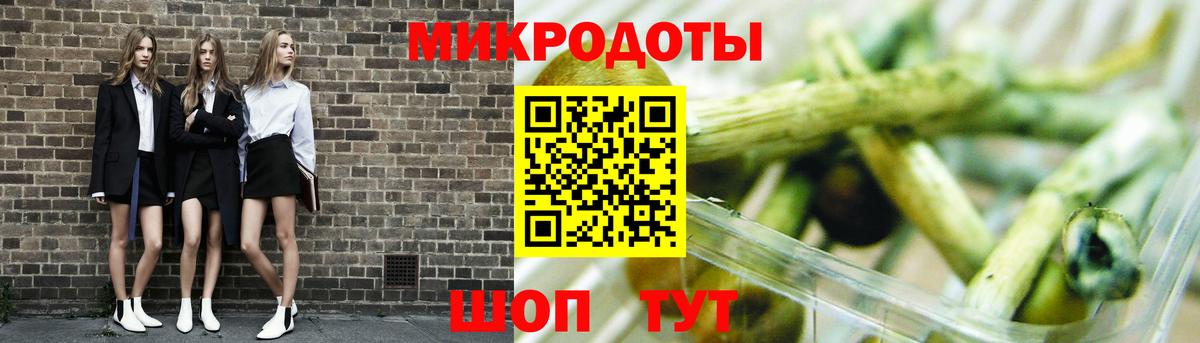 Ногинск  Псилоцибиновые грибы Cubensis  Вход с VPN 